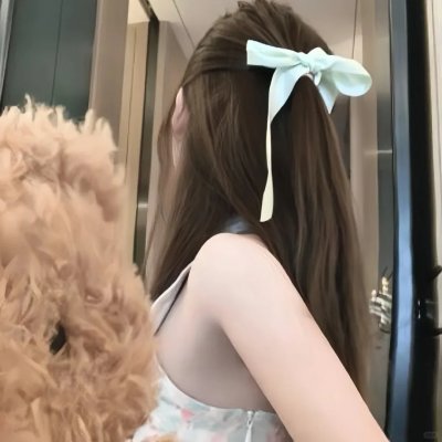 网中的太阳